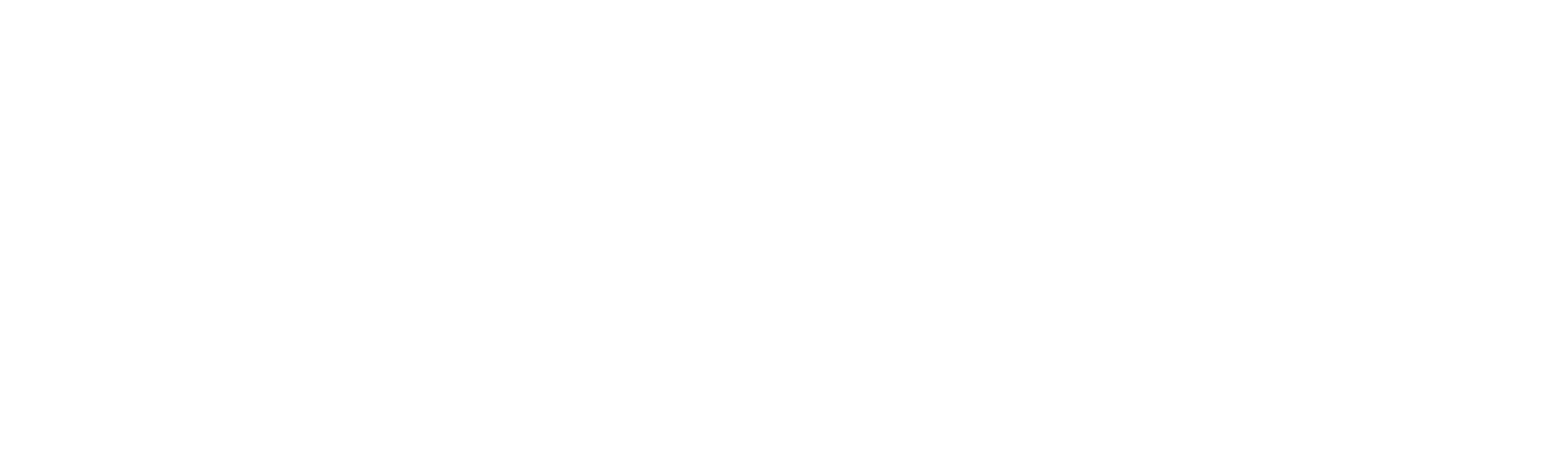 Horizontal logo, white